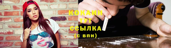 гидра Медвежьегорск
