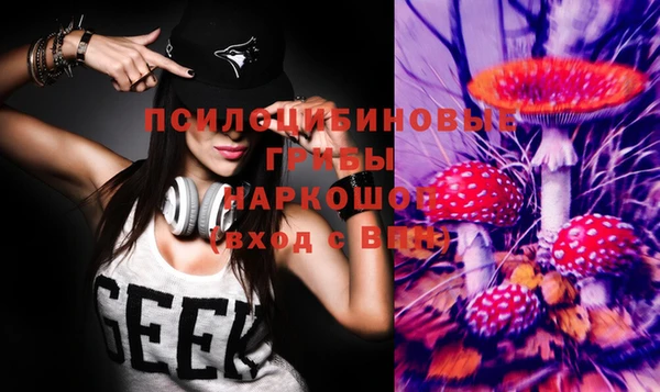 гидра Медвежьегорск