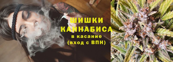 PSILOCYBIN Мегион