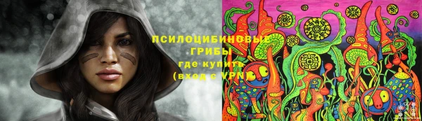 PSILOCYBIN Мегион