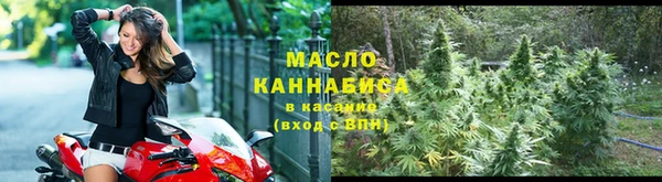 гидра Медвежьегорск