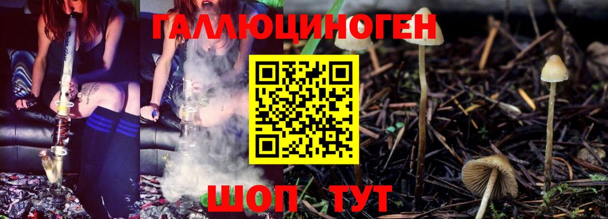 Галлюциногенные грибы MAGIC MUSHROOMS Подольск