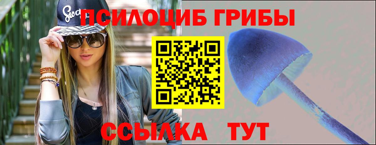 Подольск  Псилоцибиновые грибы MAGIC MUSHROOMS  Вход с VPN 